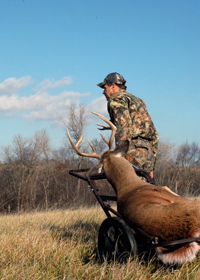 CWD Worsens To Record Levels In Wisconsin